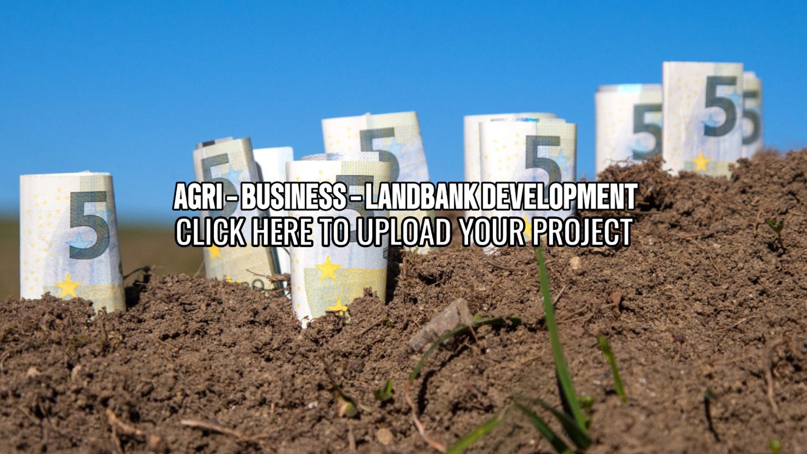 Property Express News  05 08 25